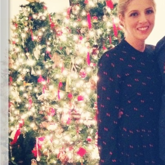 J. Crew Pleated Dress - Picture 7 of 7